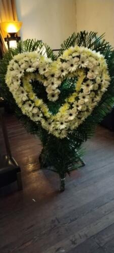 IMG-20220609-WA0009