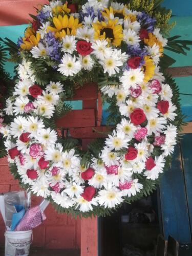 IMG-20220713-WA0004