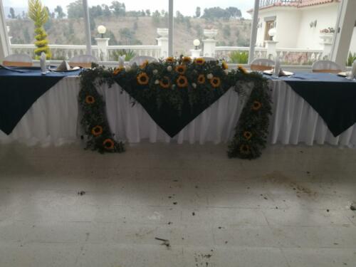 IMG_20220408_144649
